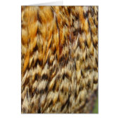 Creole Chicken Feathers (Vorne)