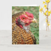 Creole Rooster-Jeden Anlaß Karte (Gelbe Blume)