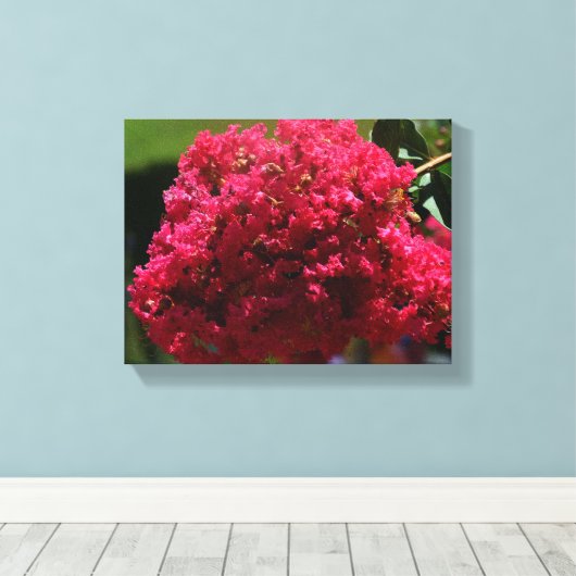 Crepe Myrtle-Blüte Leinwanddruck (Insitu (Holzboden))