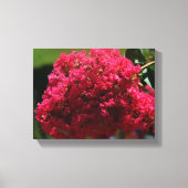Crepe Myrtle-Blüte Leinwanddruck (Vorderseite)