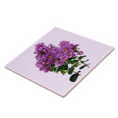 Crepe Myrtle Fliese (Seite)