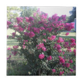 Crepe Myrtle Fliese (Vorderseite)