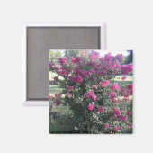 Crepe Myrtle Magnet (Vorderseite/Rückseite)