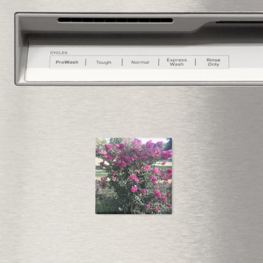 Crepe Myrtle Magnet (In Situ (Geschirrspüler))