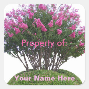 Crepe Myrtle Mound - Eigentum von: Quadratischer Aufkleber