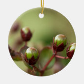 Crepe Myrtle Seed Pods Keramik Ornament (Vorne)