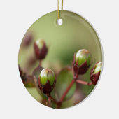 Crepe Myrtle Seed Pods Keramik Ornament (Links)