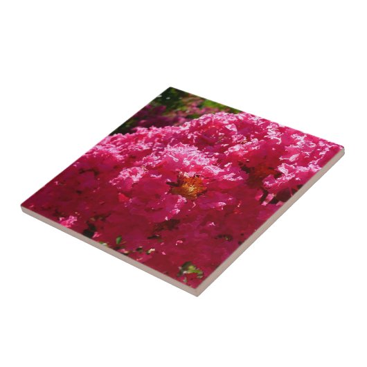 Crepe Myrtle Tree Magenta Floral Fliese (Seite)