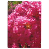 Crepe Myrtle Tree Magenta Floral Klemmbrett (Rückseite)