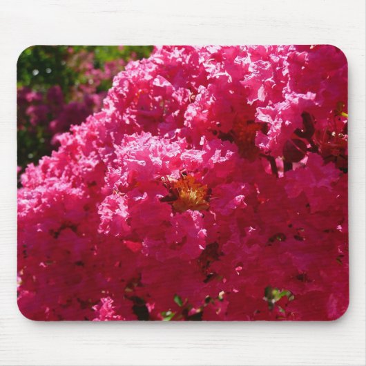 Crepe Myrtle Tree Magenta Floral Mousepad (Vorne)