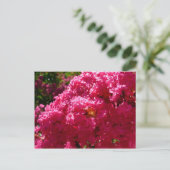 Crepe Myrtle Tree Magenta Floral Postkarte (Stehend Vorderseite)