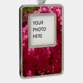 Crepe Myrtle Tree Magenta Floral Rahmen-Ornament Silber (Rechts)