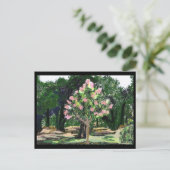 Crepe Myrtle Tree Postkarte (Stehend Vorderseite)