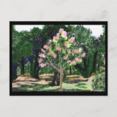 Crepe Myrtle Tree Postkarte (Vorderseite)