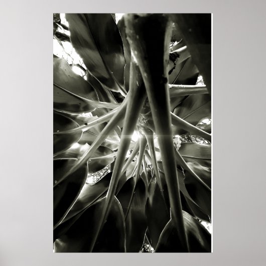 crescendo poster (Vorne)