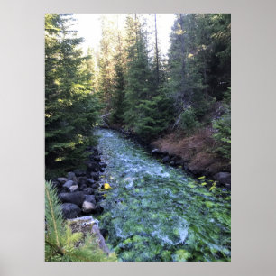 Crescent Creek, Oregon Poster