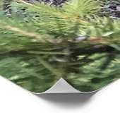 Crescent Creek, Oregon Poster (Ecke)