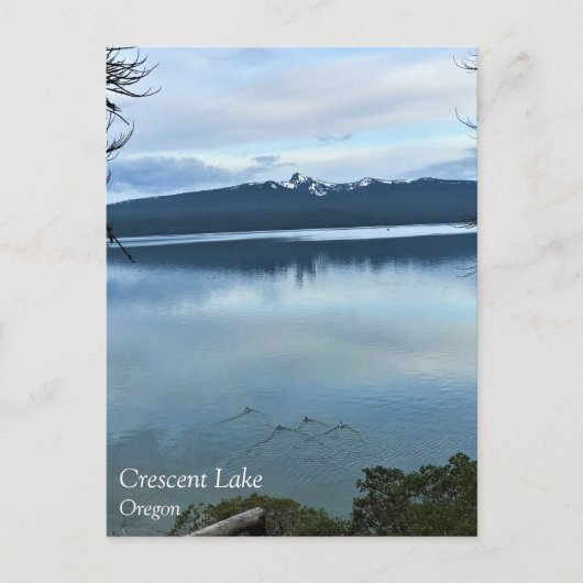 Crescent Lake, Oregon Postcard Postkarte (Vorderseite)