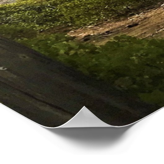 Crescent Lake Poster (Ecke)