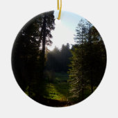 Crescent Meadow Morning on Sequoia Nationalpark Keramik Ornament (Vorne)