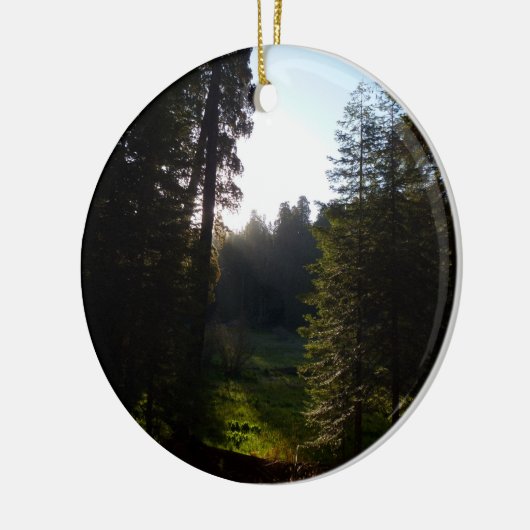 Crescent Meadow Morning on Sequoia Nationalpark Keramik Ornament (Links)