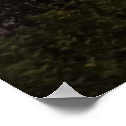 Crescent Moon Einstellung Poster (Ecke)