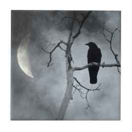 Crescent Moon Lit Crow Fliese
