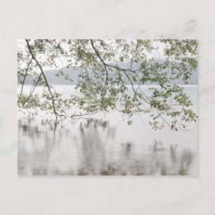 Crescent-See   Olympischer Nationalpark, WA Postkarte