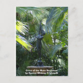 Crest of the Wave Sculpture Postkarte (Vorderseite)