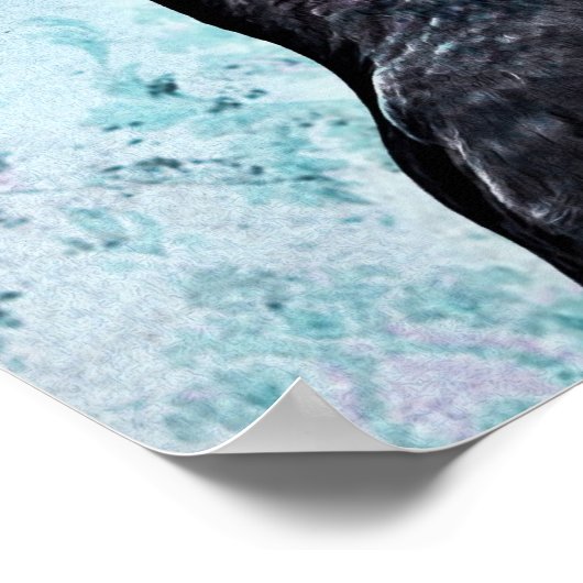 Crested Auklet Poster (Ecke)