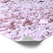 Crested Blenny Poster (Ecke)