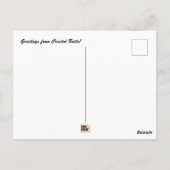 Crested Butte, Colorado Postcard Postkarte (Rückseite)