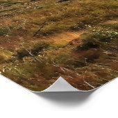 Crested Butte Poster (Ecke)