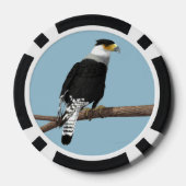 Crested Caracara Clay Poker Chip (Rückseite)
