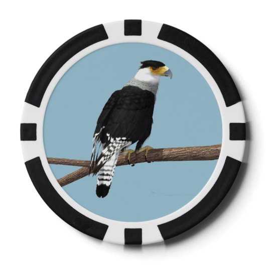 Crested Caracara Clay Poker Chip (Vorderseite)