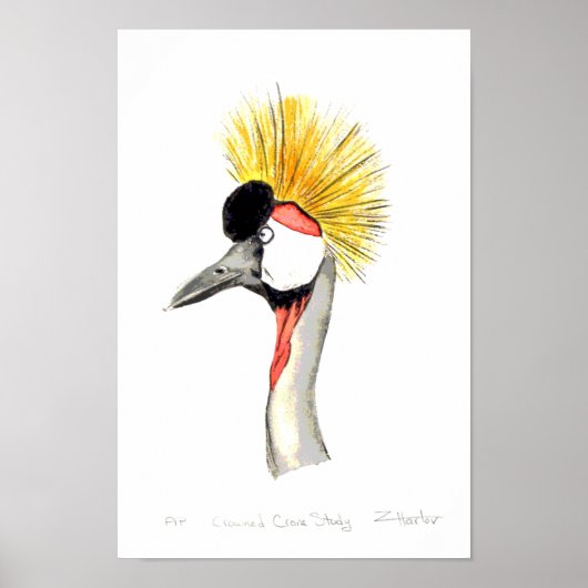 Crested Crane Poster (Vorne)