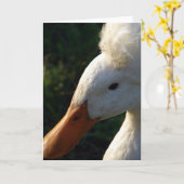 Crested Duck Karte (Gelbe Blume)