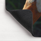 Crested Duck Mousepad (Ecke)