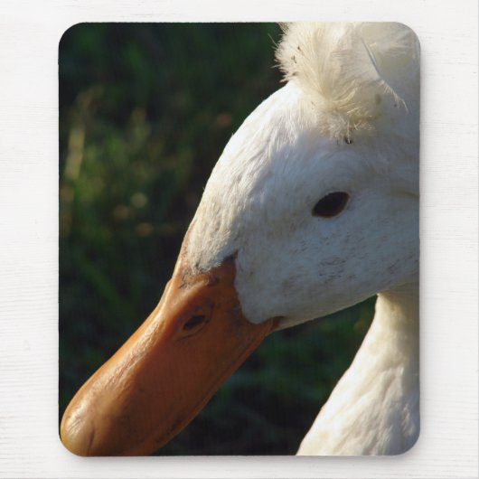 Crested Duck Mousepad (Vorne)