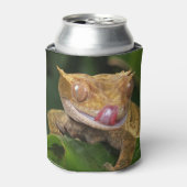 Crested Gecko Dosenkühler (Kanne Vorderseite)