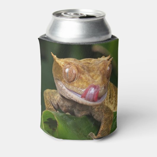 Crested Gecko Dosenkühler (Kanne Rückseite)