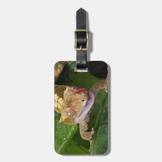 Crested Gecko Gepäckanhänger (Vorderseite vertikal)