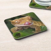 Crested Gecko Getränkeuntersetzer (Linke Seite)