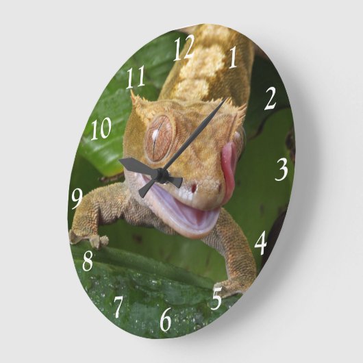 Crested Gecko Große Wanduhr (Winkel)