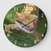 Crested Gecko Große Wanduhr (Vorderseite)