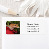 Crested Gecko Lizard auf einer Rose-Rücksendeadres (Insitu)