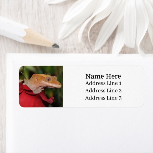 Crested Gecko Lizard auf einer Rose-Rücksendeadres (Insitu)