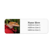 Crested Gecko Lizard auf einer Rose-Rücksendeadres