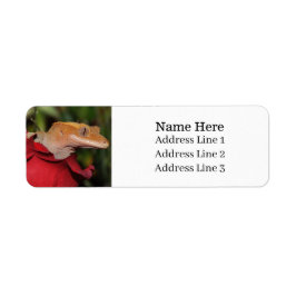 Crested Gecko Lizard auf einer Rose-Rücksendeadres