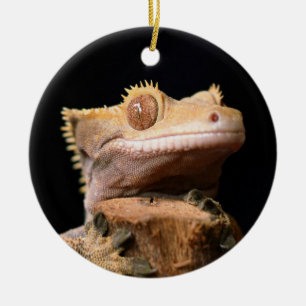 Crested Gecko Lizard auf Schwarzer Keramik Ornamen Ornament